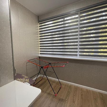 טשקנט Amir Temur Apartment In Center After Renovation מראה חיצוני תמונה